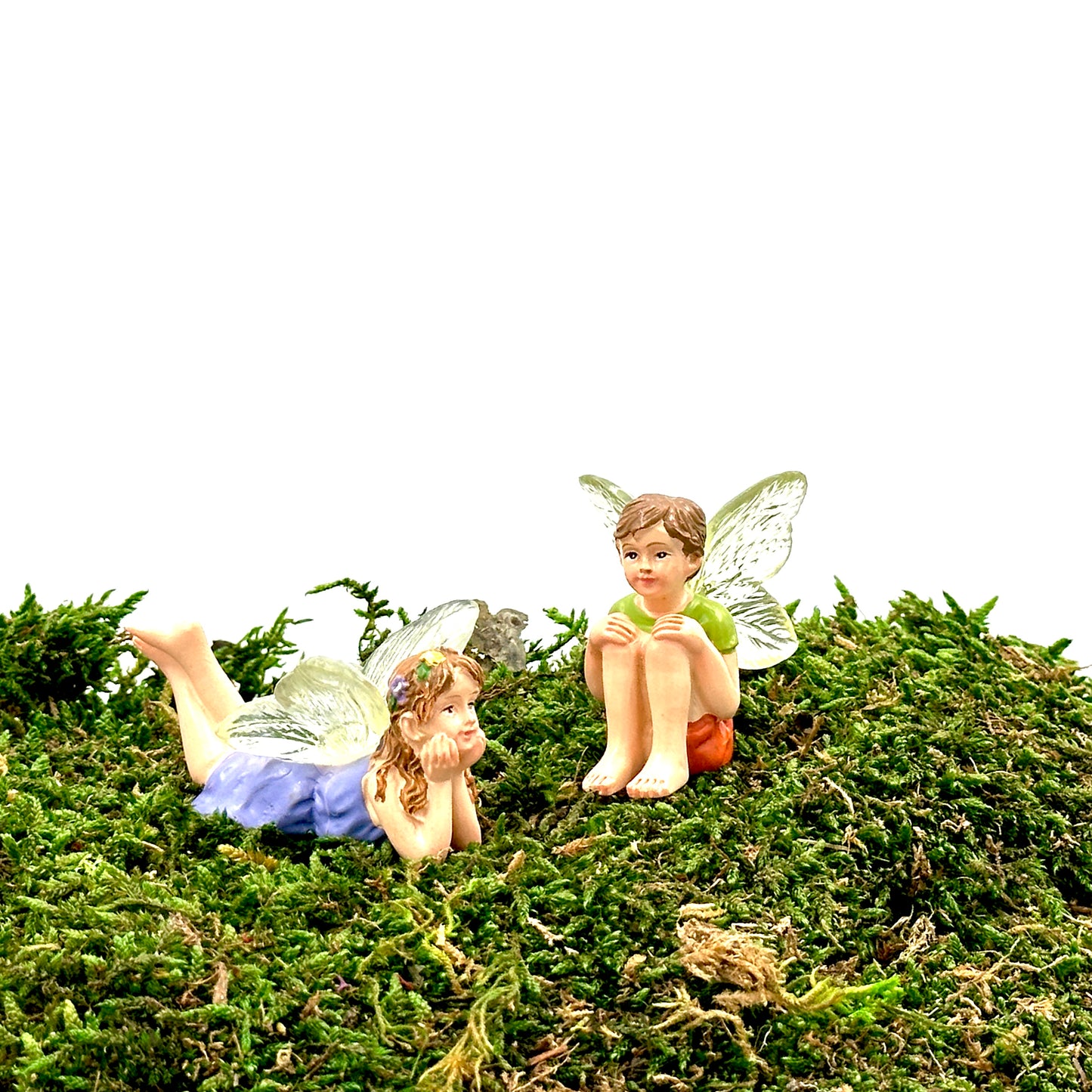 Fairy Duo Flynn & Elara