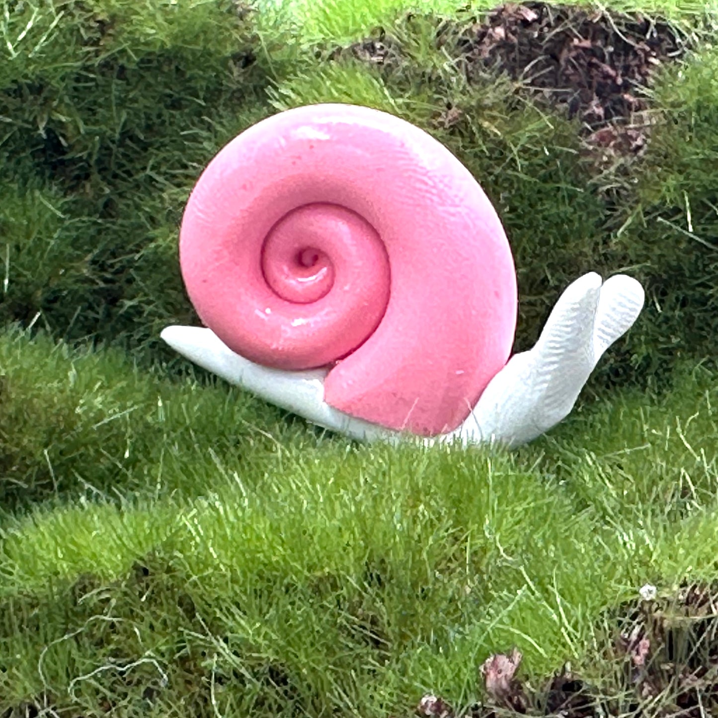 Mini Bright Garden Snails