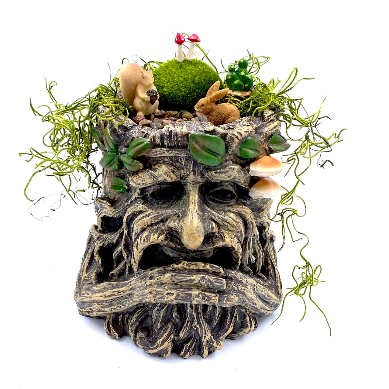Dryad Planter Kit