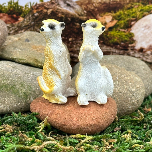 Fairy Garden Meerkats, Australian Fairy Garden Products