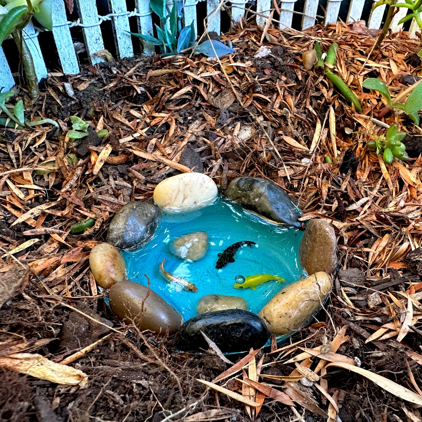 Little Blue Pond