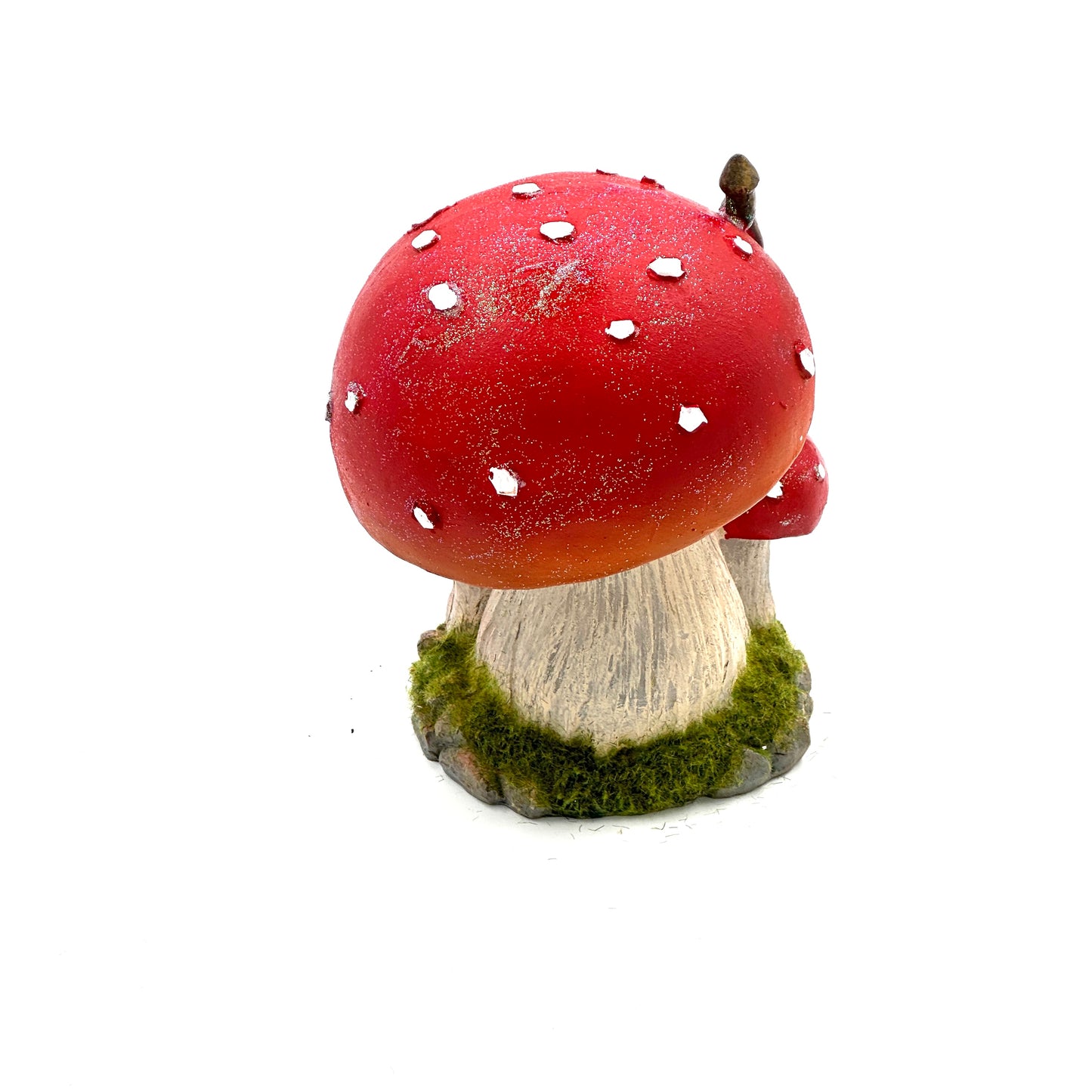 Mystical Magical Mushroom House
