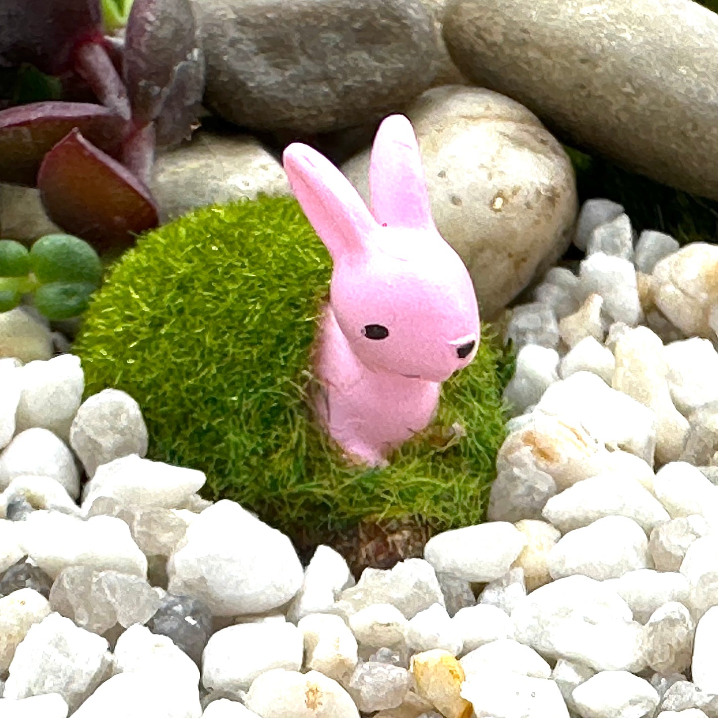 Meadow Bunnies