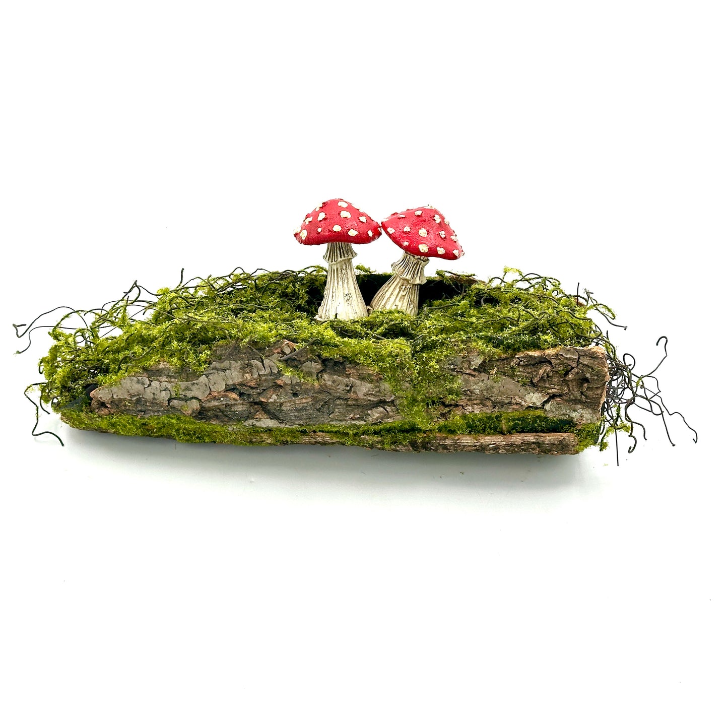 Mushrooms On A Mossy Log