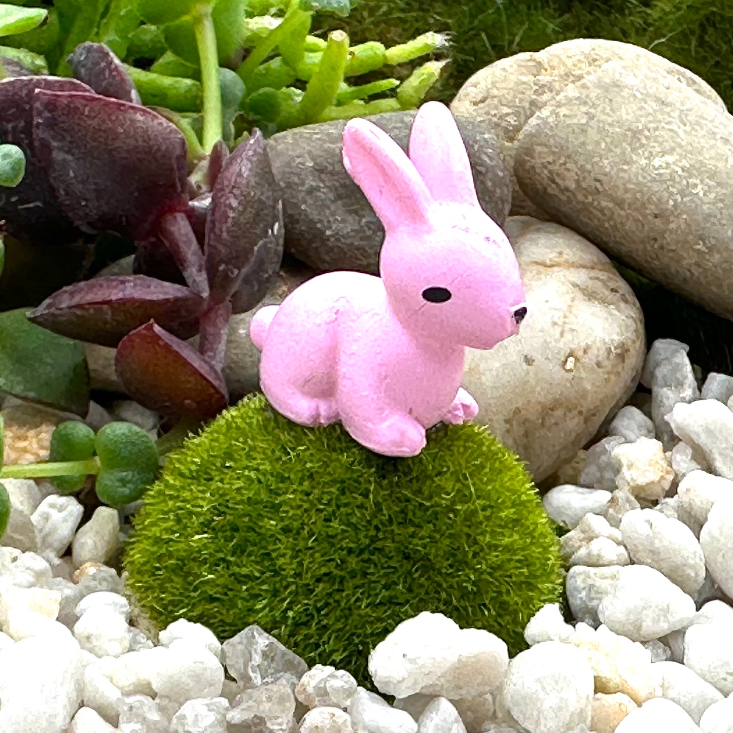 Meadow Bunnies