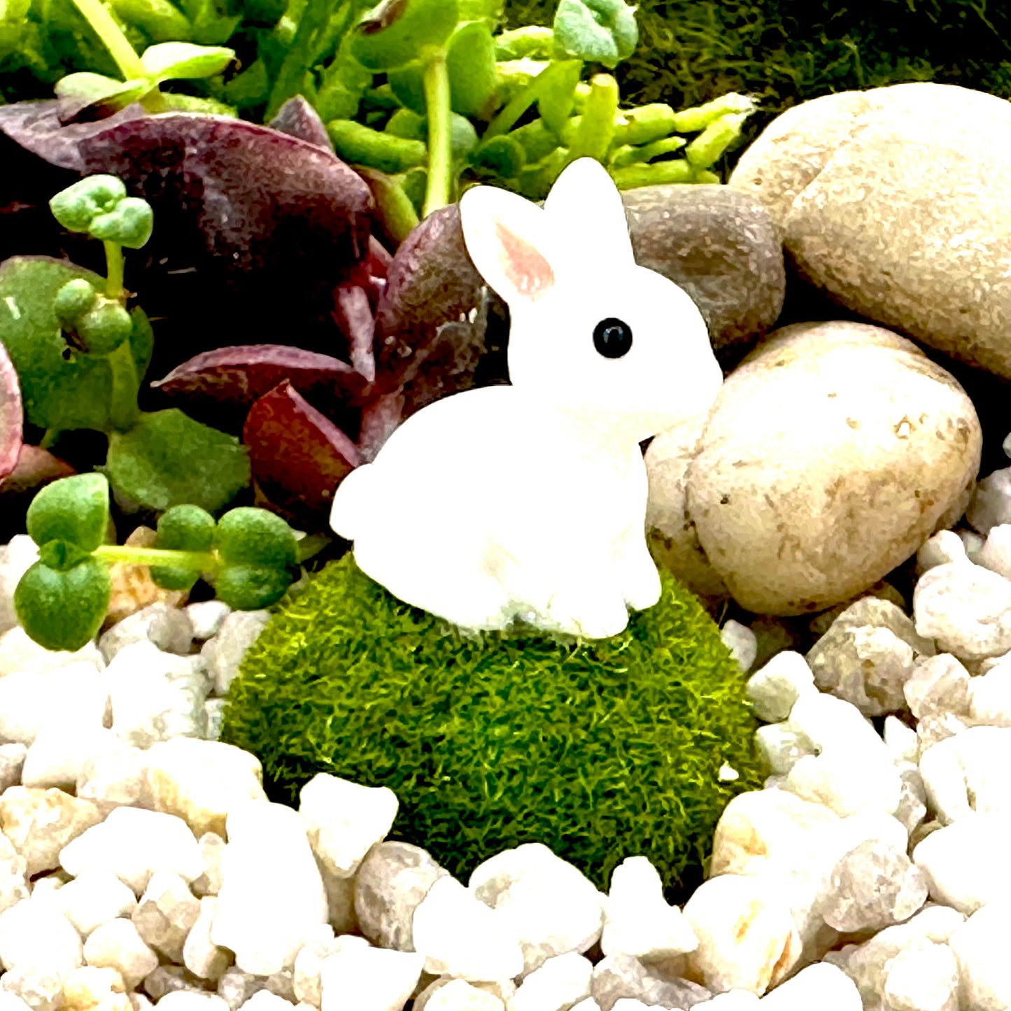 Meadow Bunnies