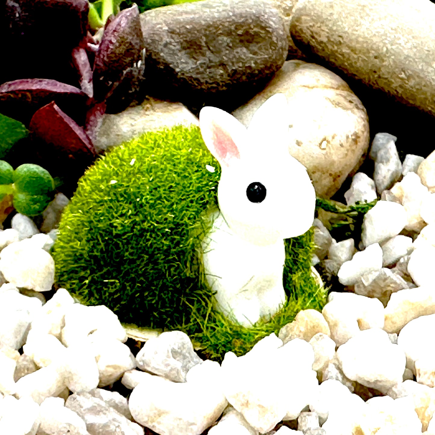 Meadow Bunnies