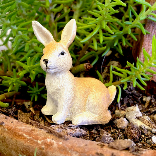 Little Forest Woodland Bunny Fairy Garden Accessory