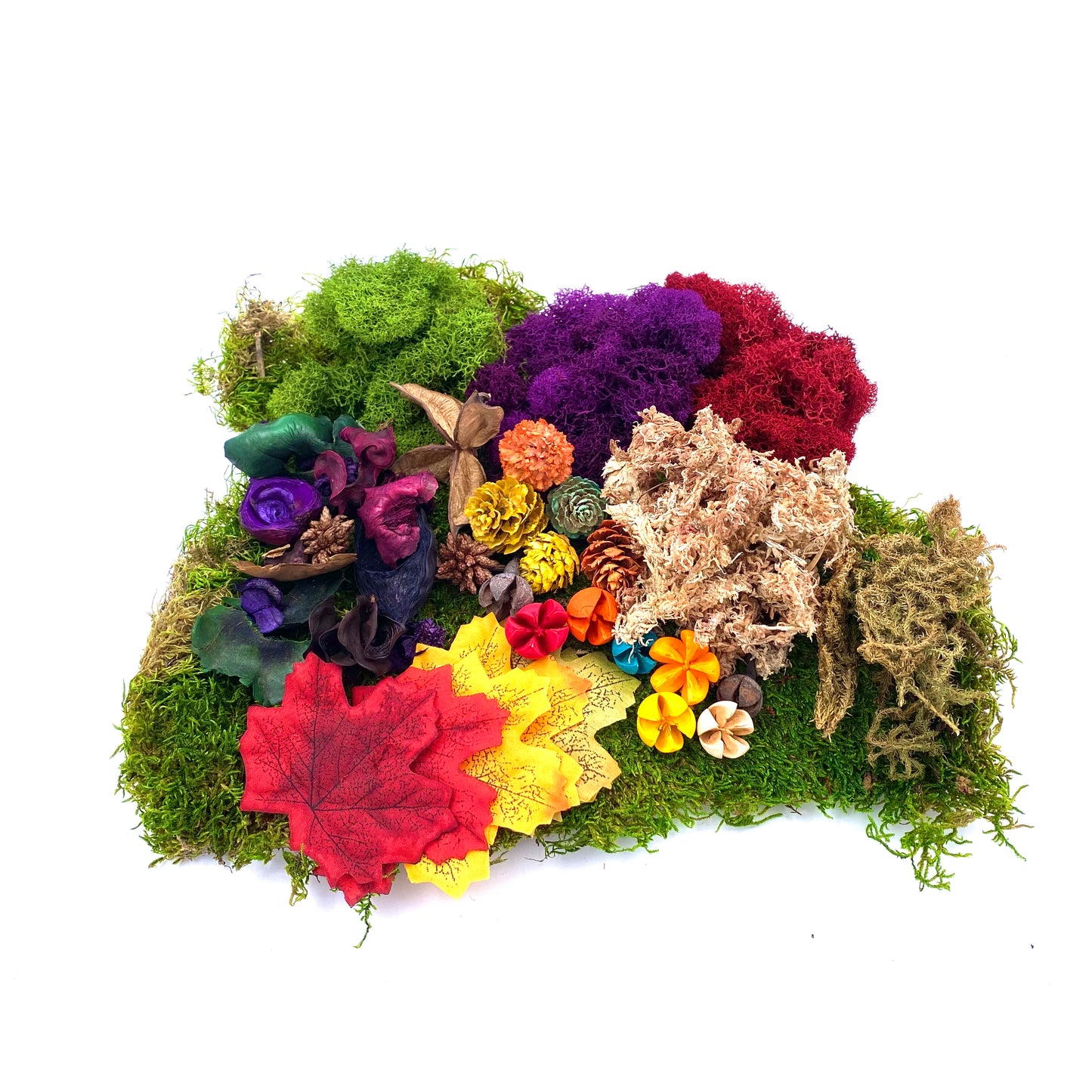 Moss Pack Autumn colours for Fairy Gardens