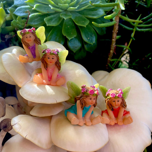 Sweet Pea Fairies