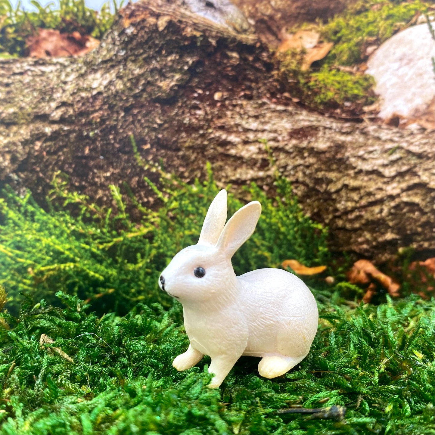 Forest Bunnies
