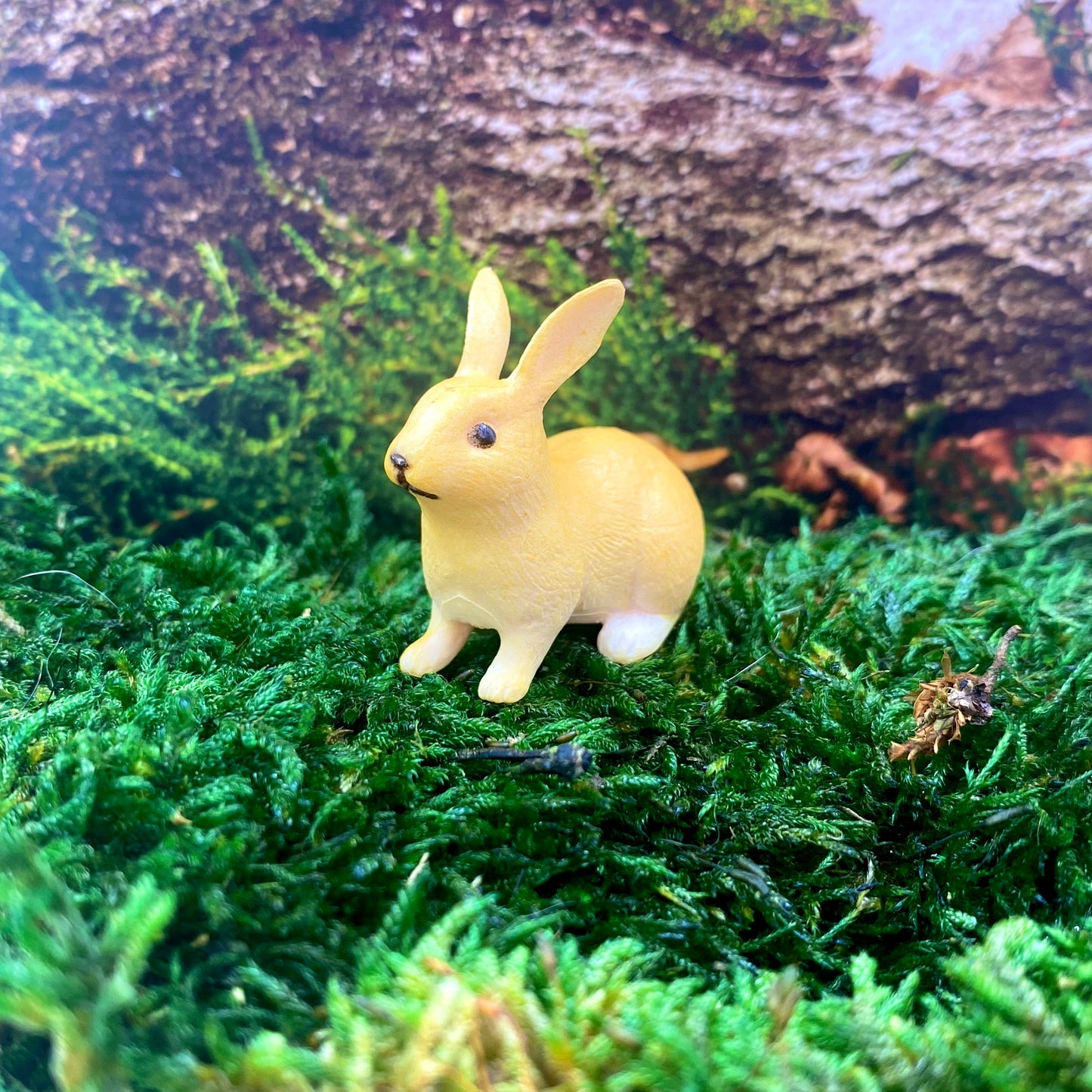 Forest Bunnies