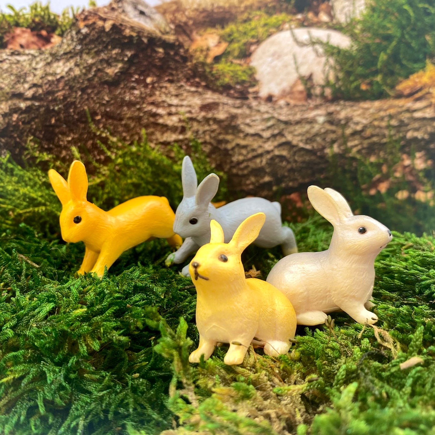 Forest Bunnies