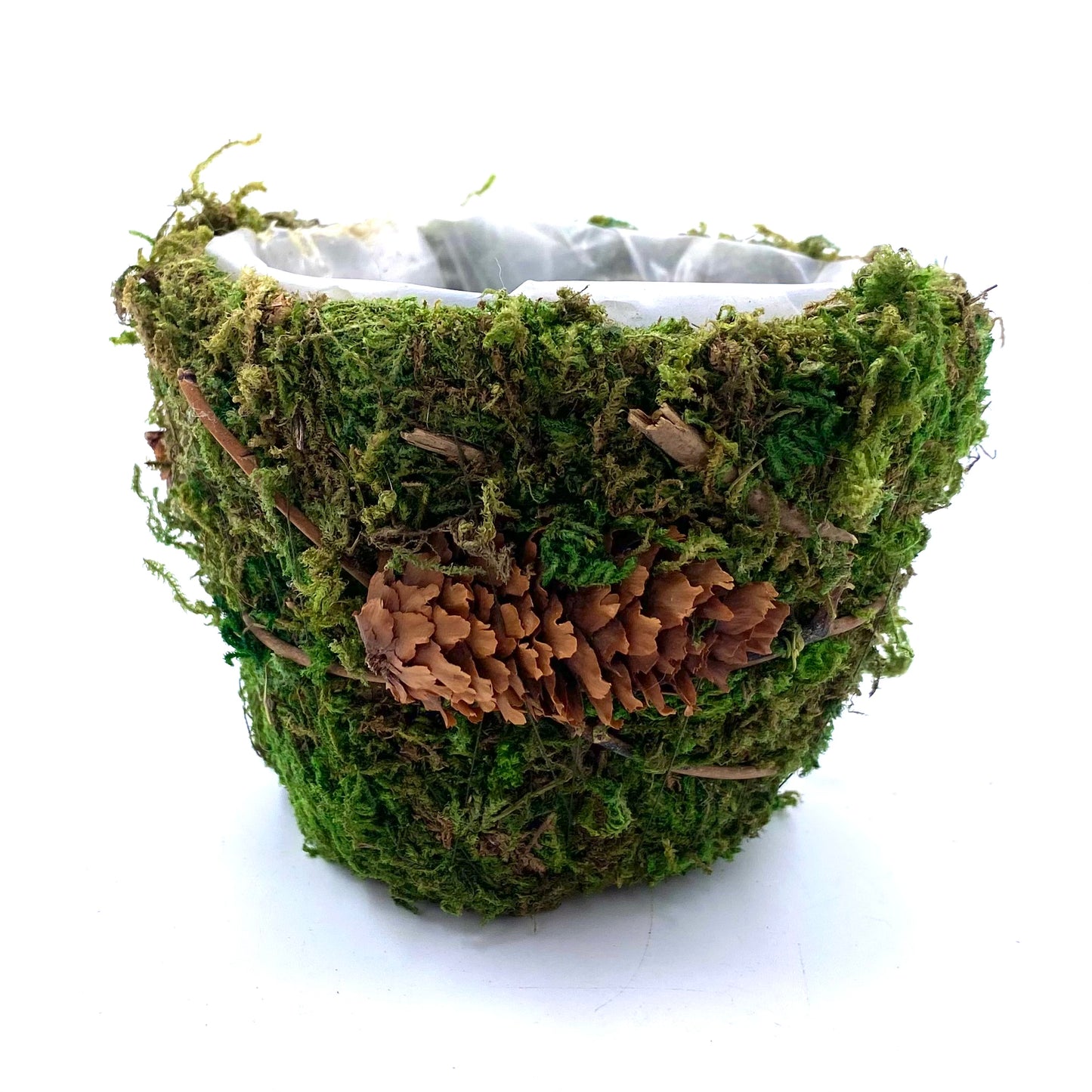 Mini Mossy Pots