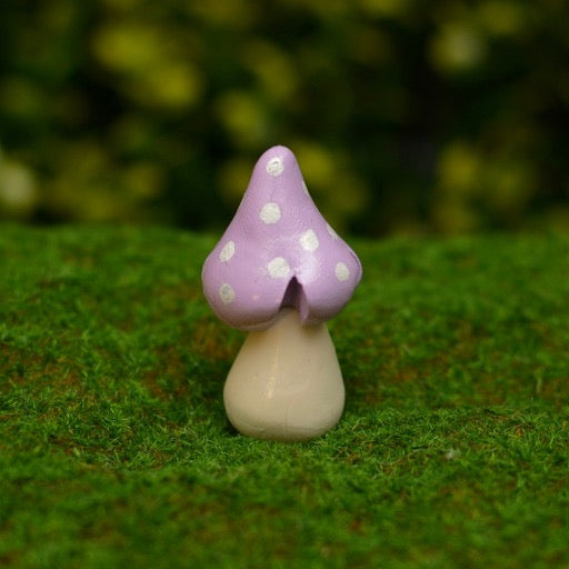 Mushrooms Large Bright Squats