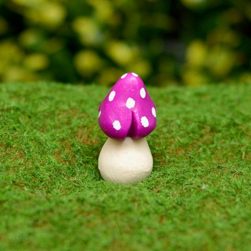 Mushrooms Large Bright Squats