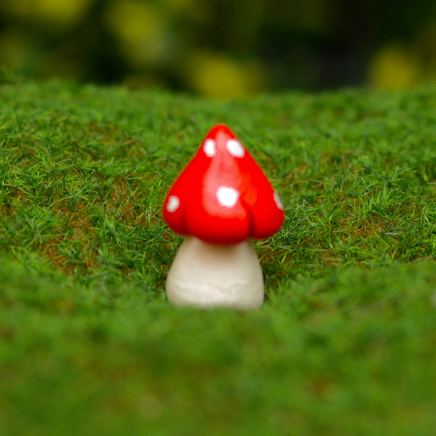 Fairy Garden Mushrooms (Small Squats)