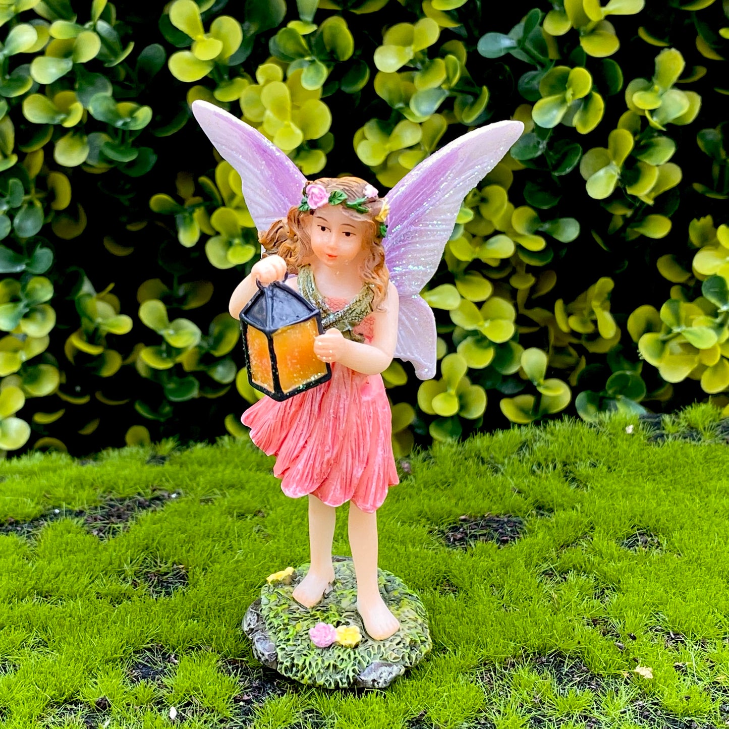 Fairy Sky with A Lantern