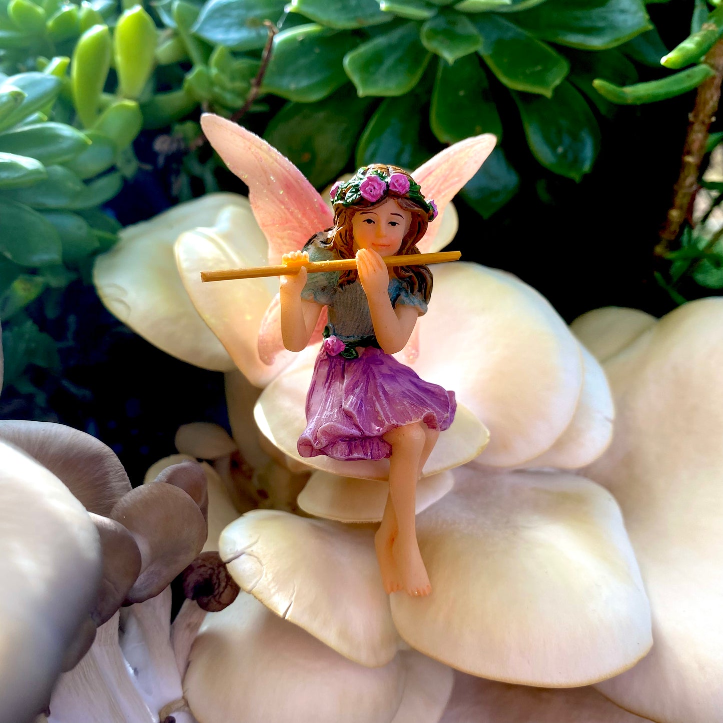 Fairy Melody