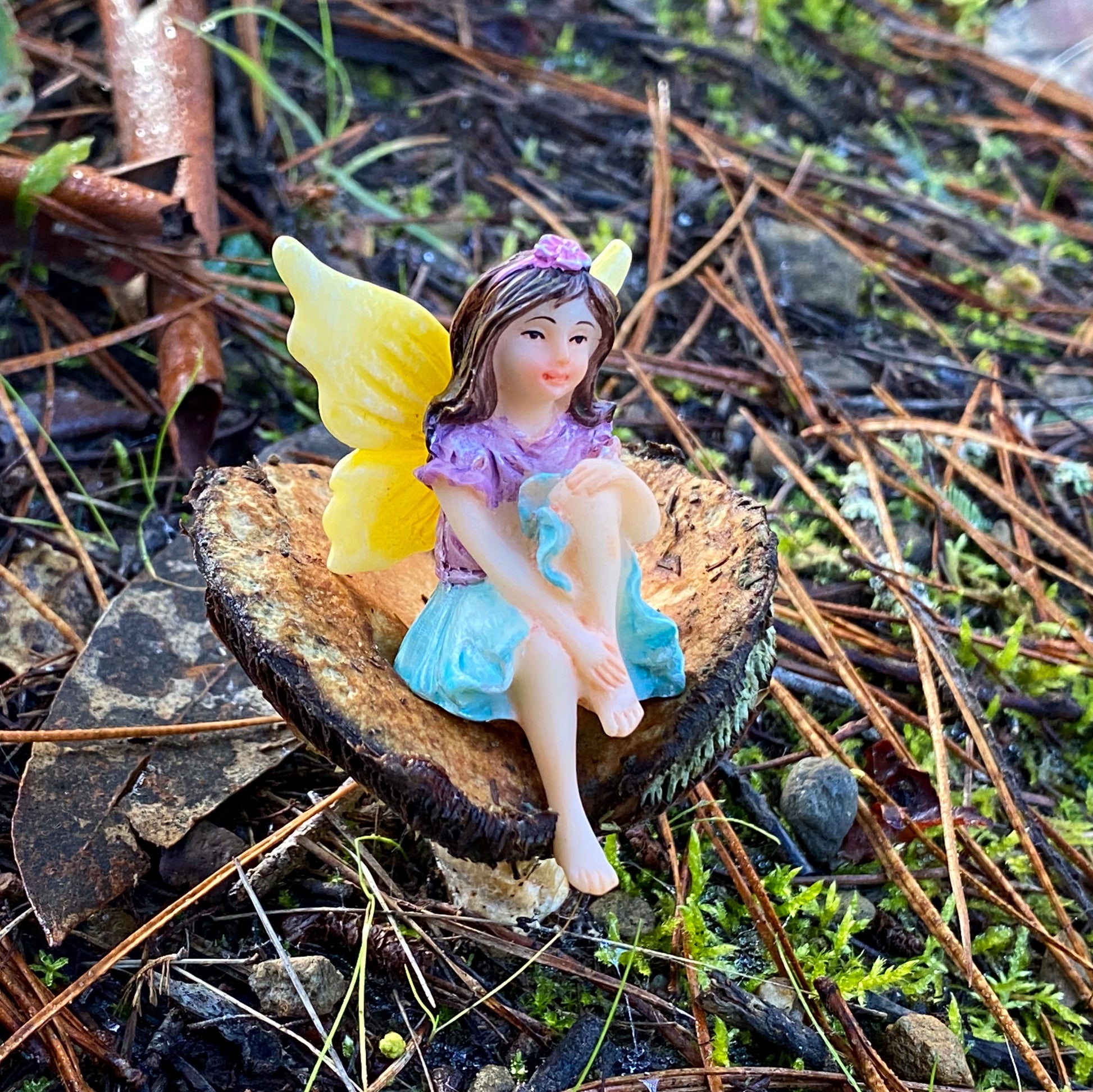 Fairy Cherish