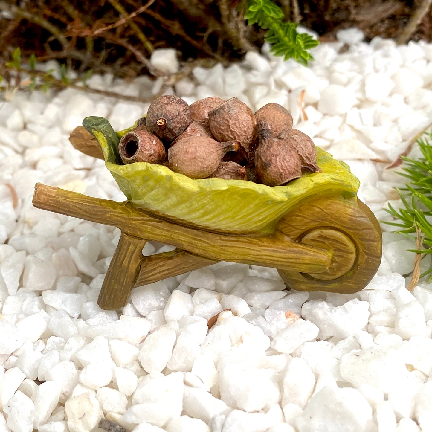 Leaf Wheelbarrow With Gum Nuts
