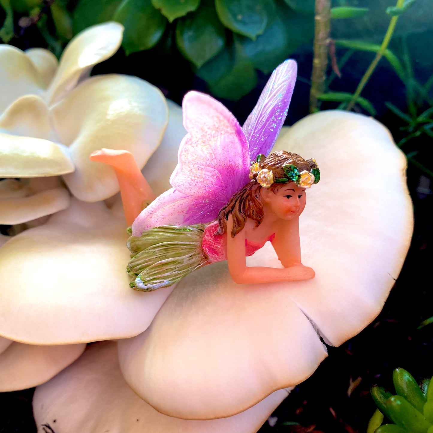 Fairy Jasmine