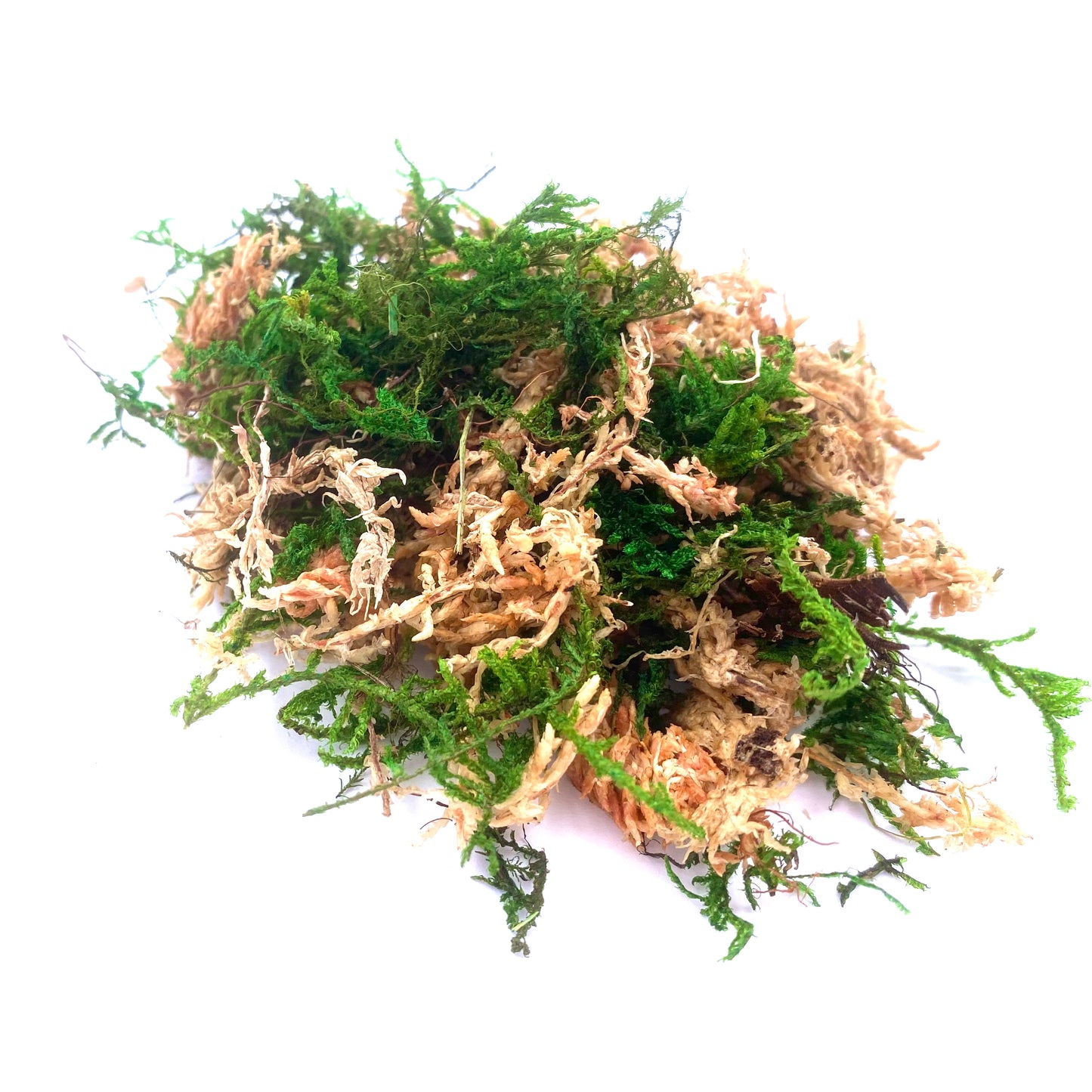 Natural Sphagnum Moss