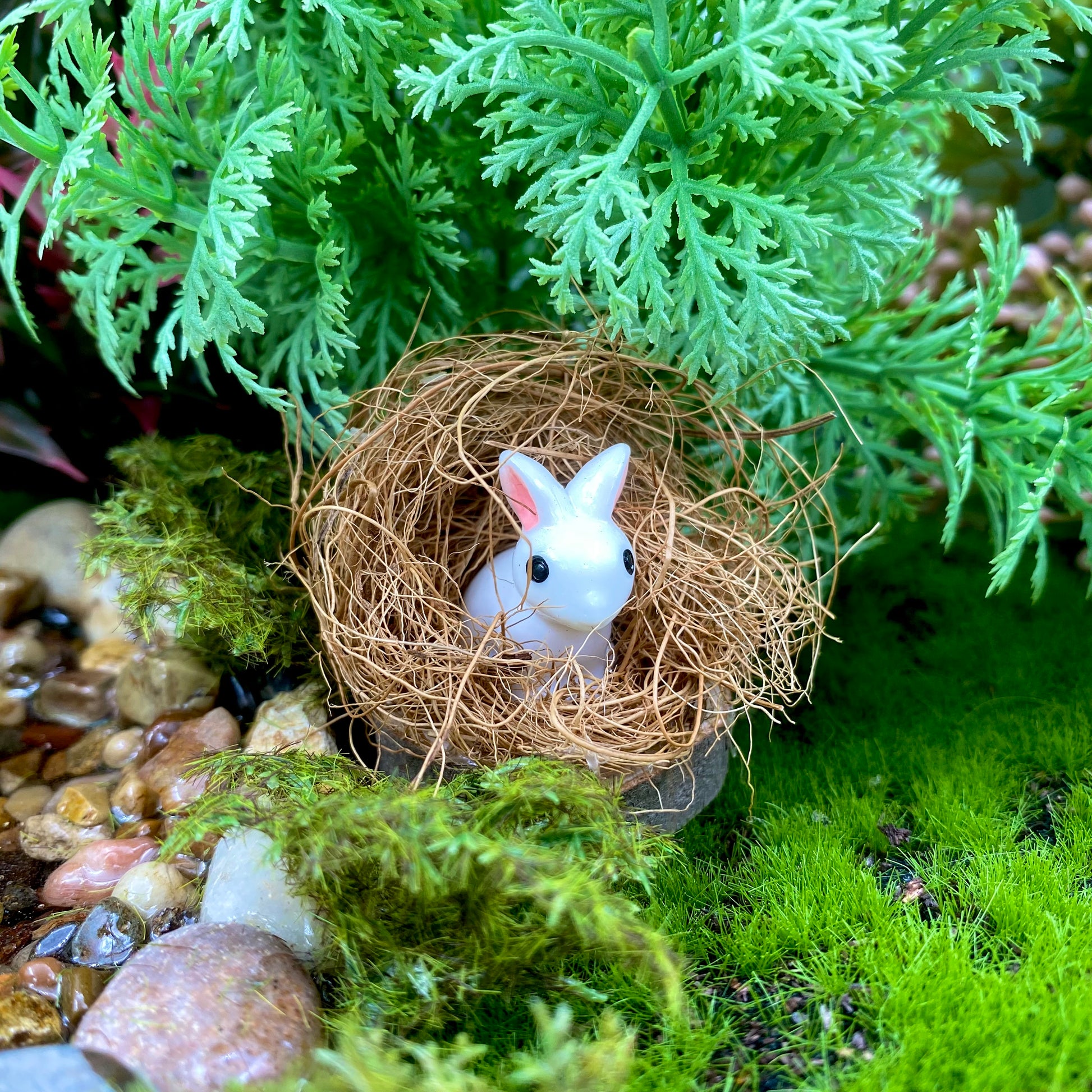Bunnies In A Burrow