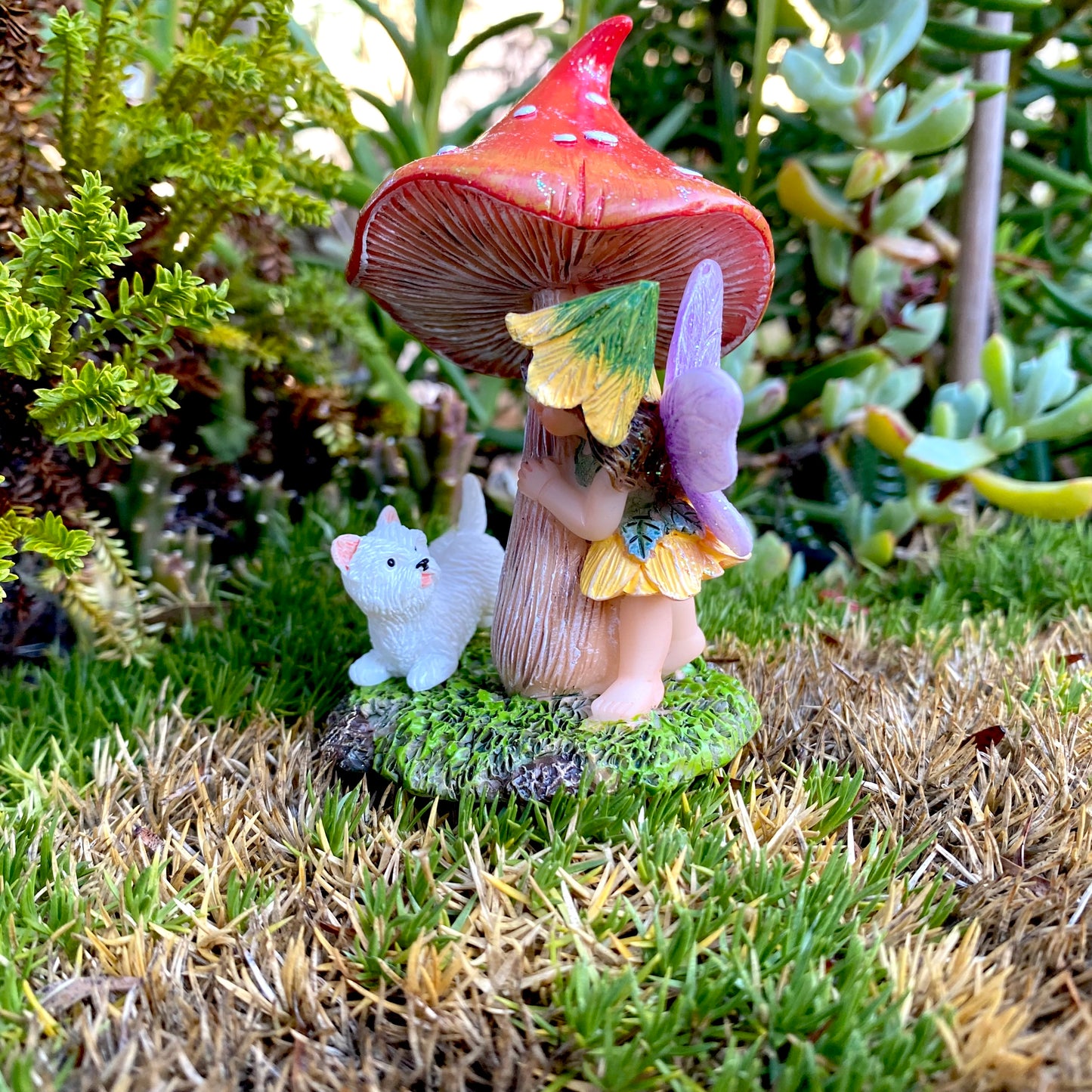 Hide And Seek With Rosie And Tom