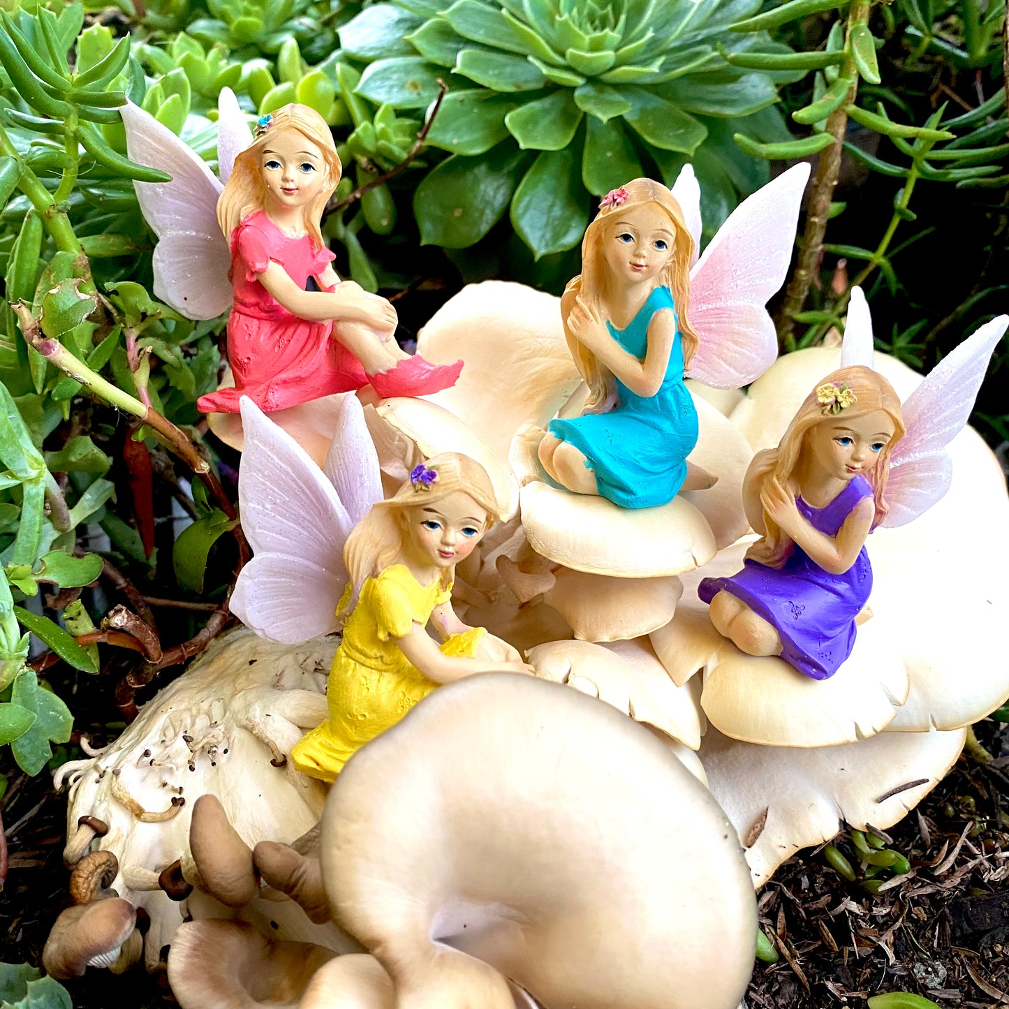 Tulip Fairies