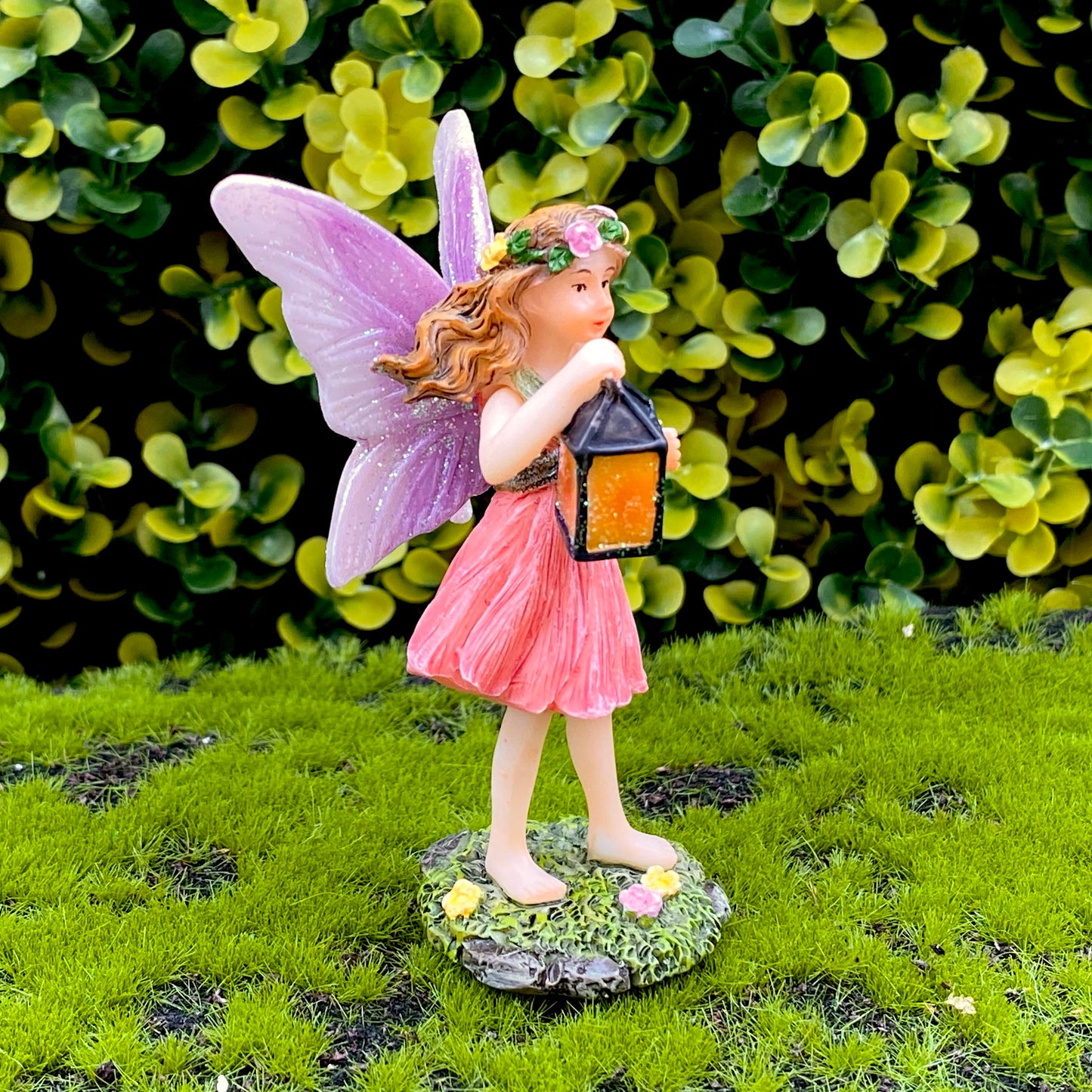 Fairy Sky with A Lantern