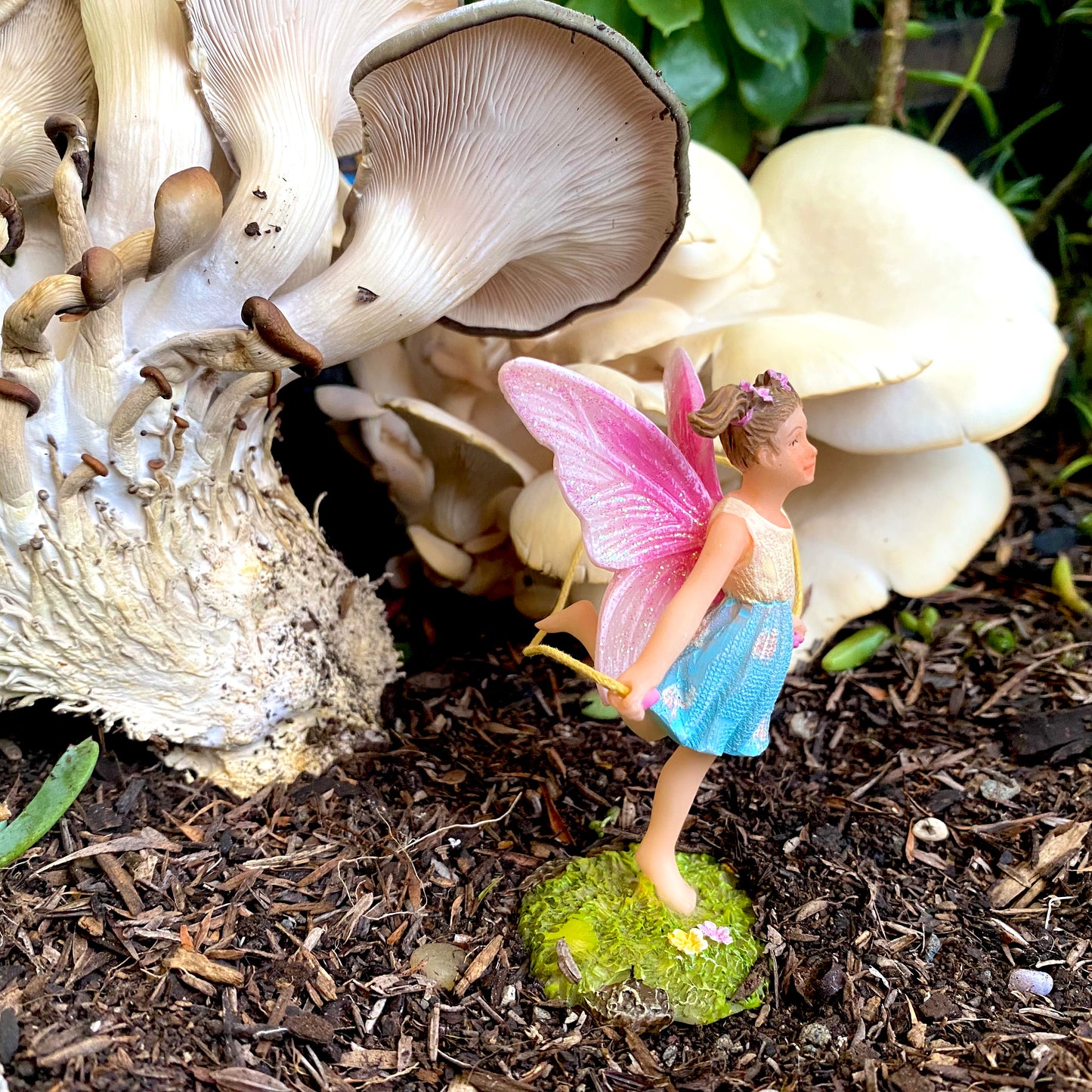 Fairy Pippa Skipping