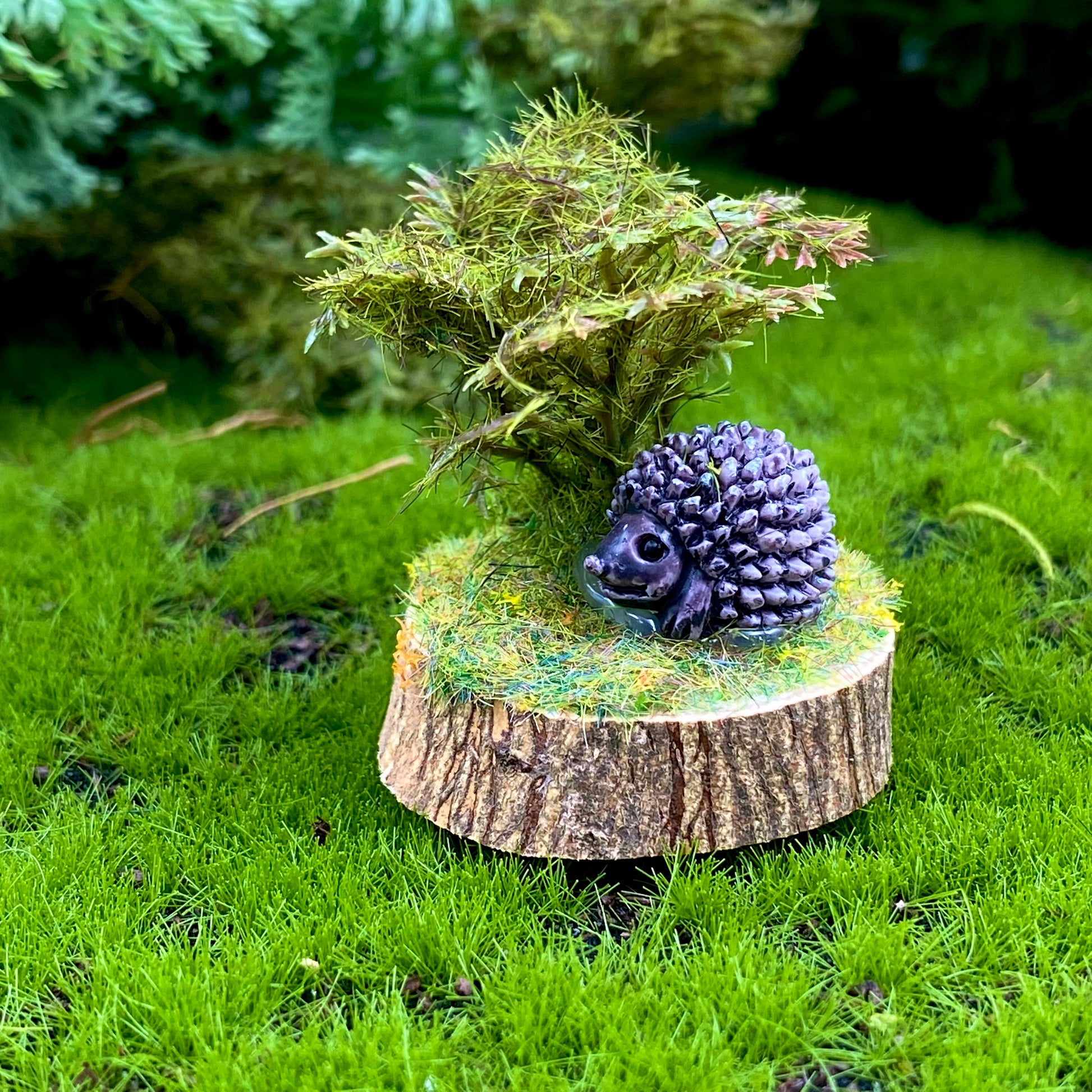 Fairy Garden Echidna