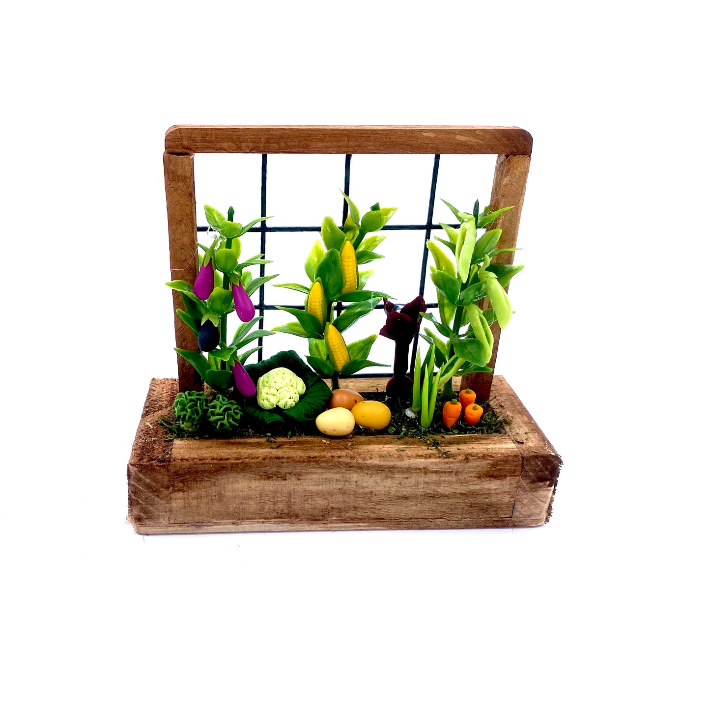 Fairy Garden Veggie Patch
