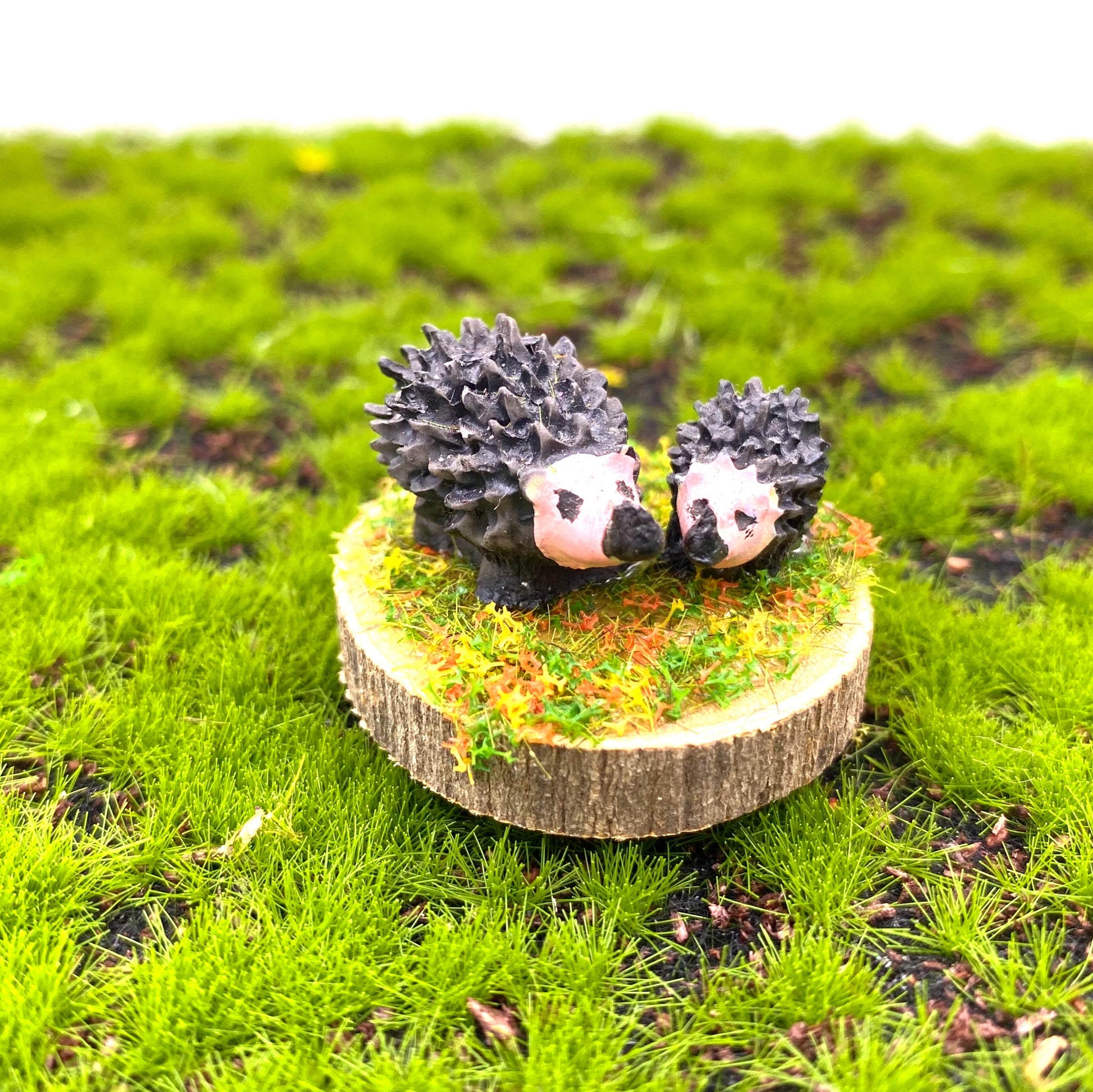 Fairy Garden Mother Hedgehog And Baby
