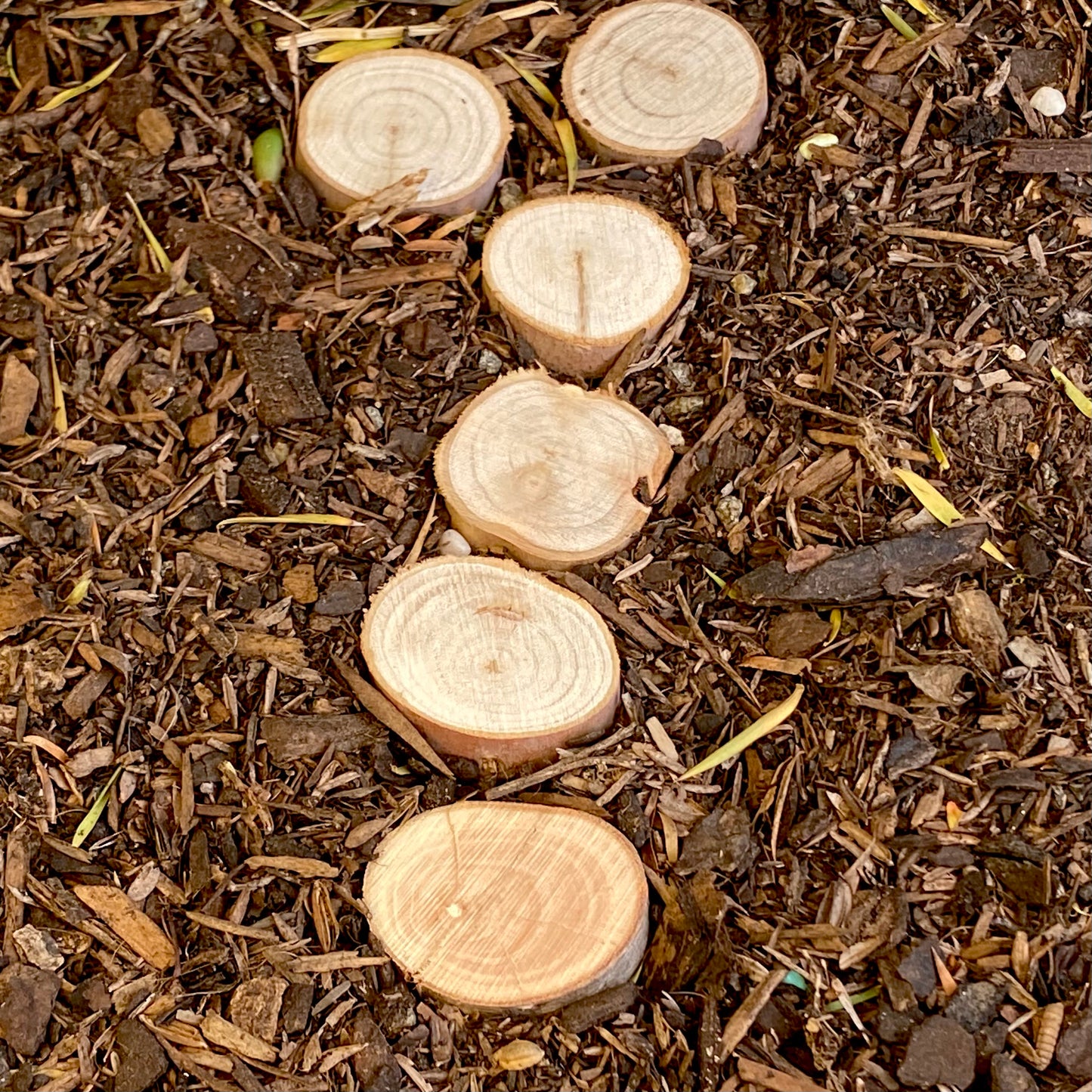 Fairy Garden wooden stepping stones