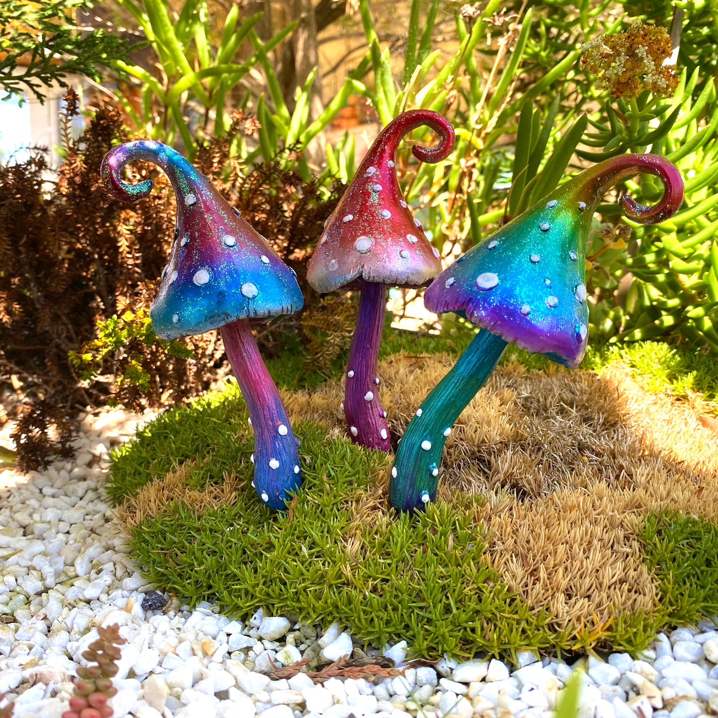 Large Whimsical Mushrooms