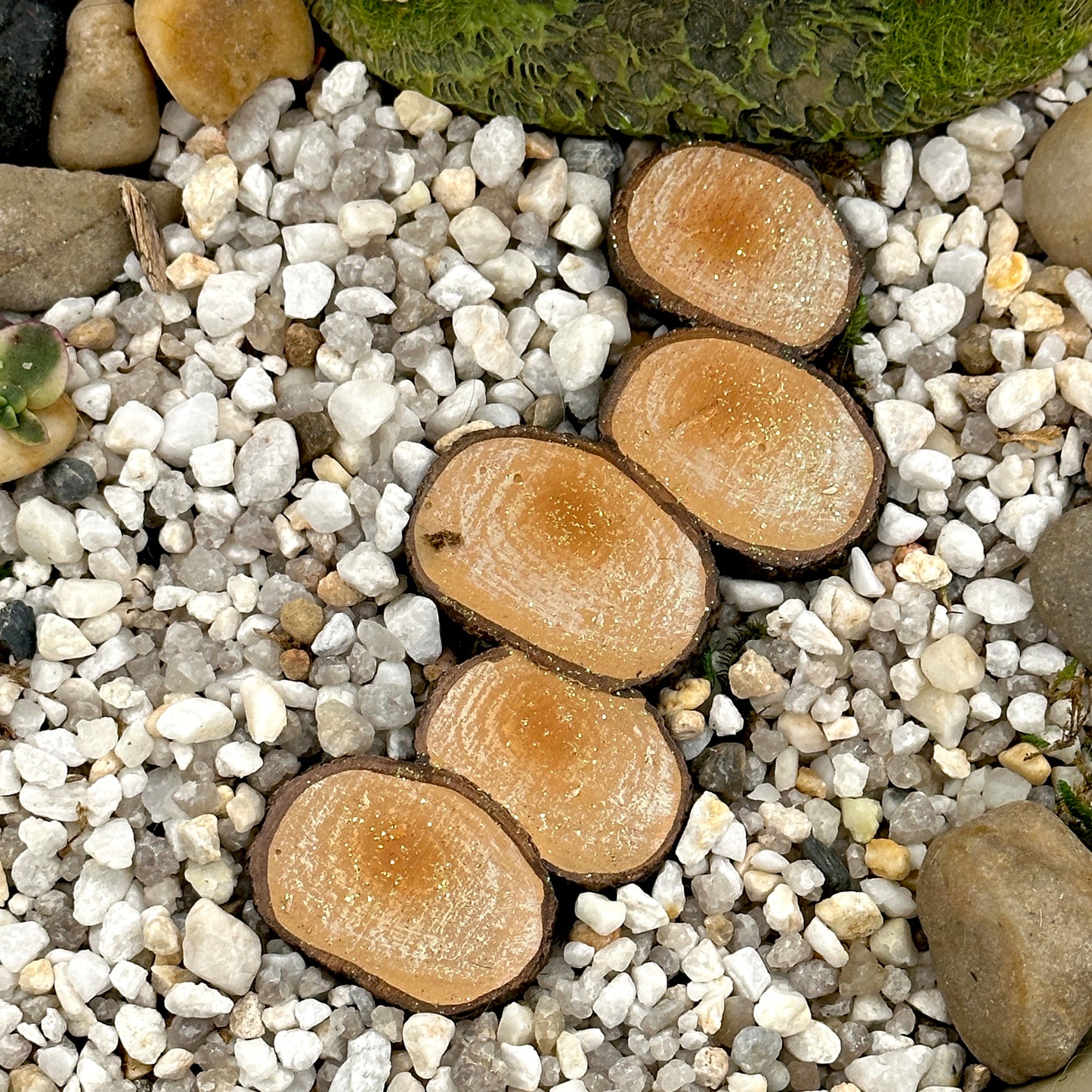 Resin Magical Stepping Stones