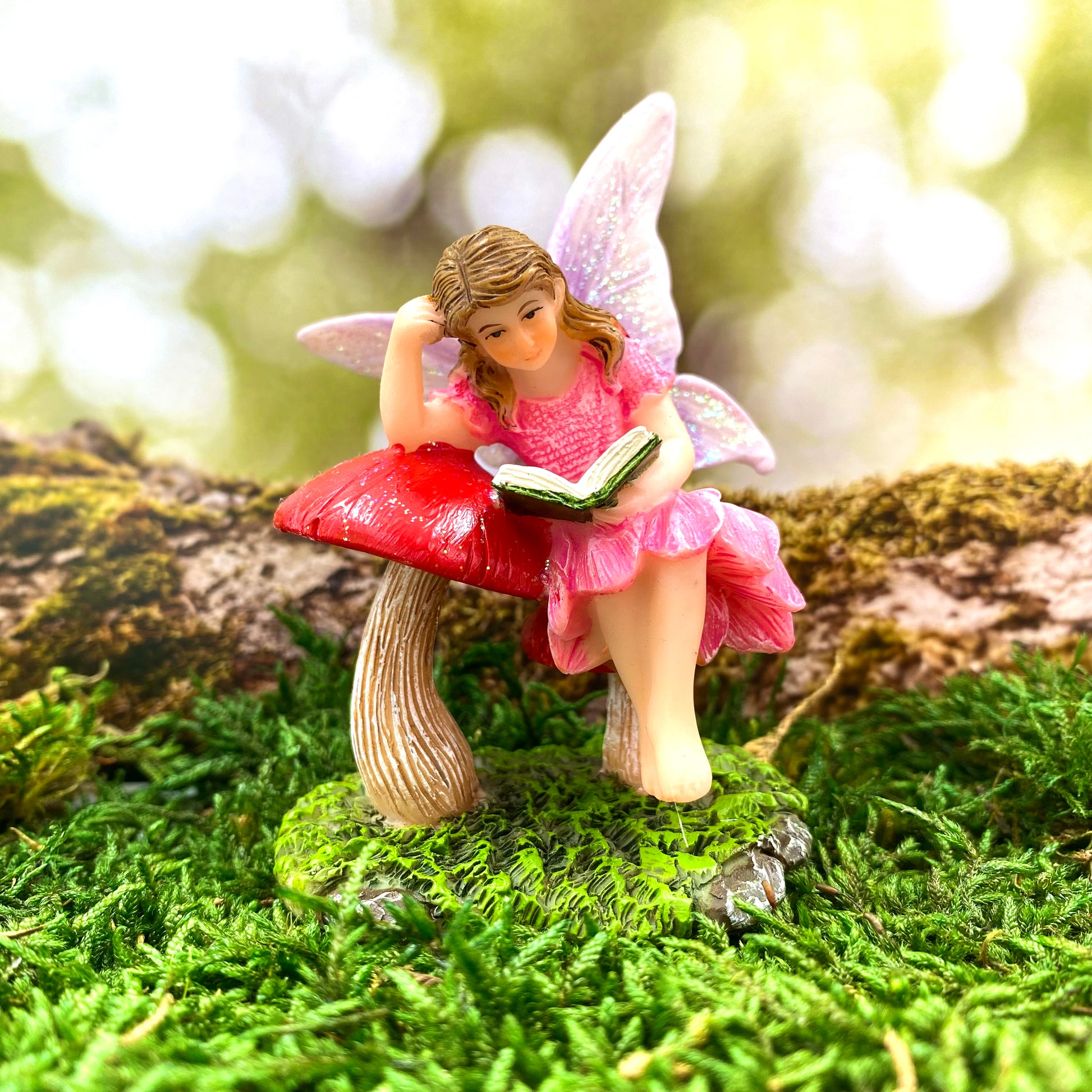 Amelia Reading Fairy,Australian Fairy Garden Products, Fairies