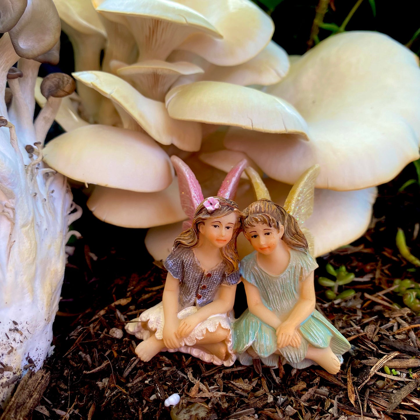 Best Friends Fairies, Australian Fairy Gardens, Fairies