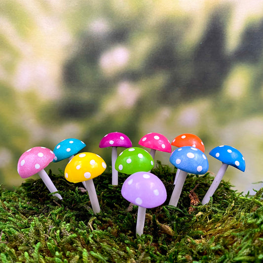 Button Top Mini Bright Fairy Garden Mushrooms (set of 11), Australian Fairy Gardens, Mushrooms