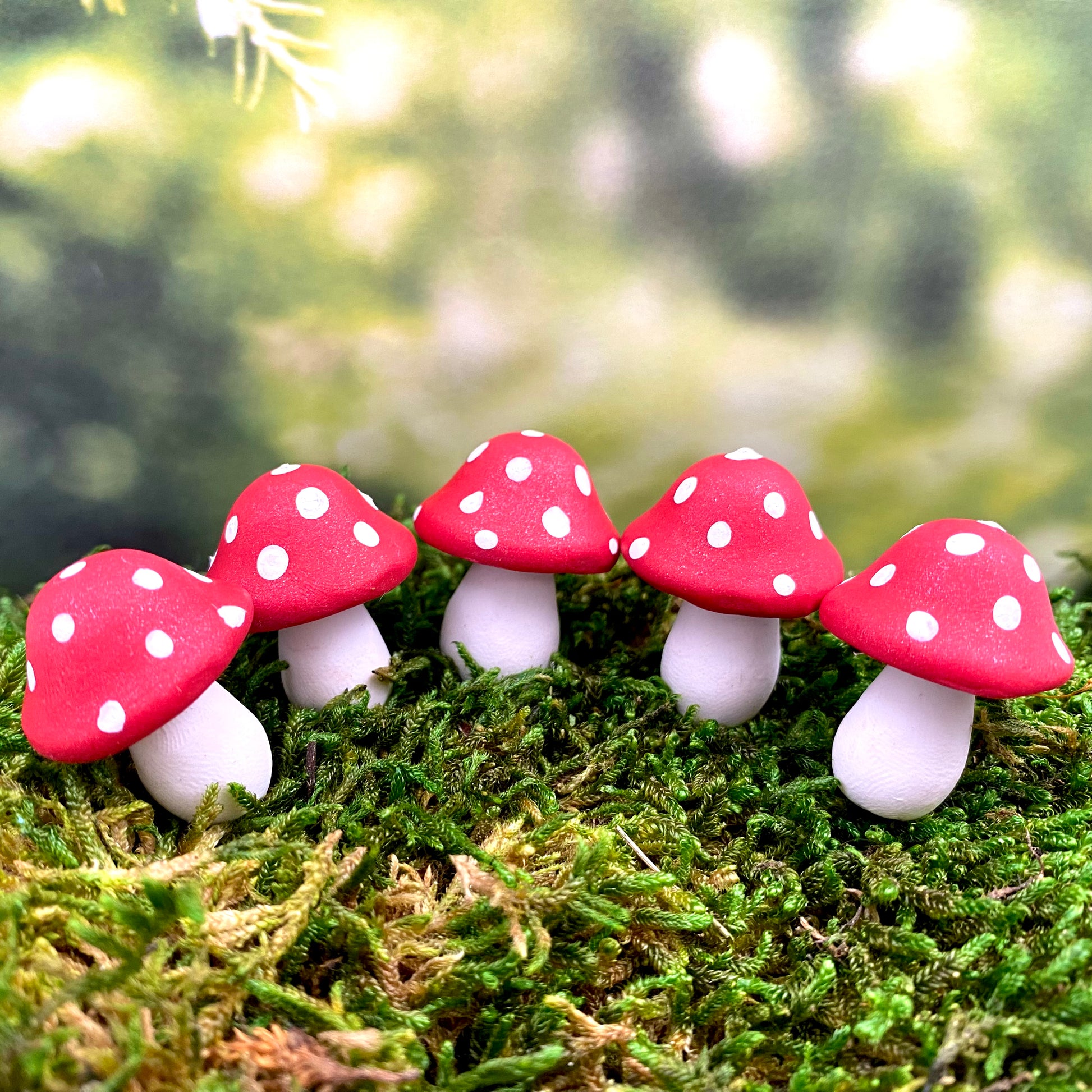 Fairy Garden Button Top Red and White Toadstools, Australian Fairy Gardens, Mushrooms