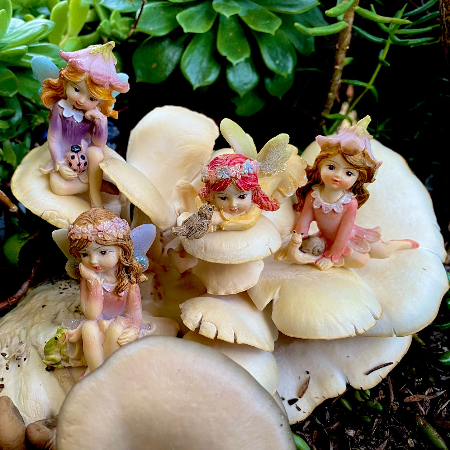 Earth Fairies, Australian Fairy Gardens, Fairies