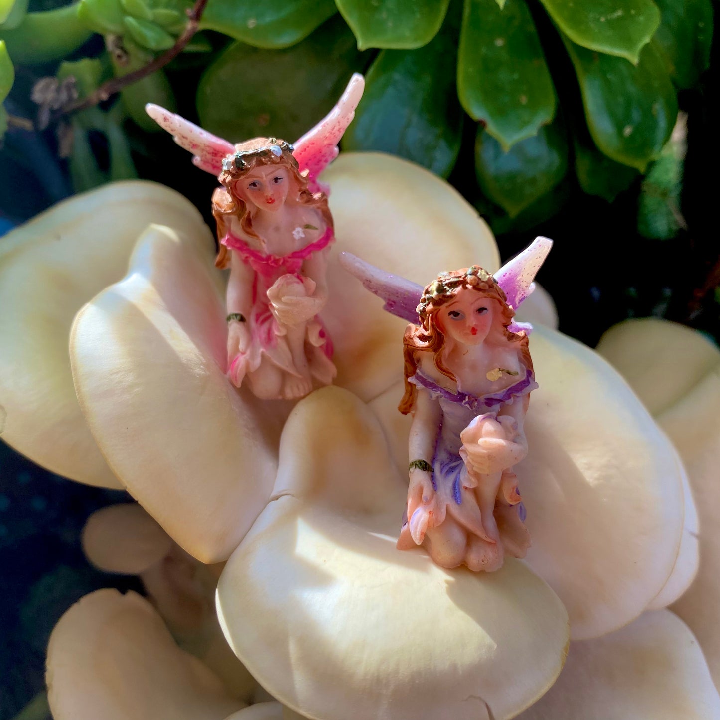 Enchanted Miniature Fairies, Australian Fairy Gardens, Fairies