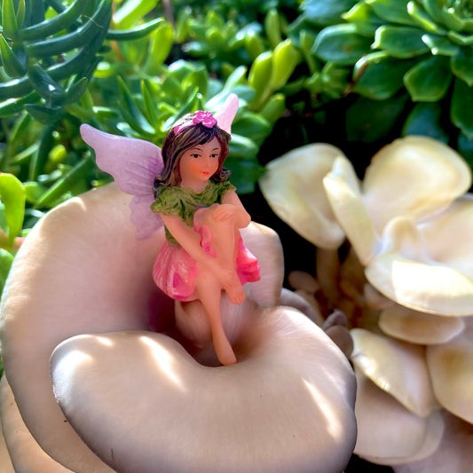 Fairy Cherish, Australian Fairy Gardens, Fairies