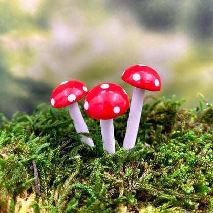 Fairy Garden Mini Terrarium Mushrooms  (Set of 3), Australian Fairy Gardens, Mushrooms