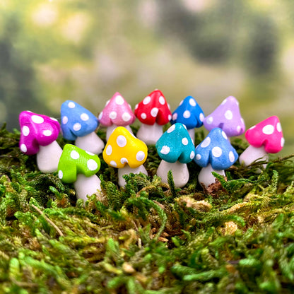 Fairy Garden Mushrooms (Small Squats), Australian Fairy Gardens, Mushrooms