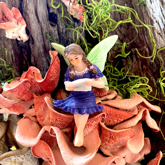 Fairy Grace Reading A Letter, Australian Fairy Gardens, Fairies