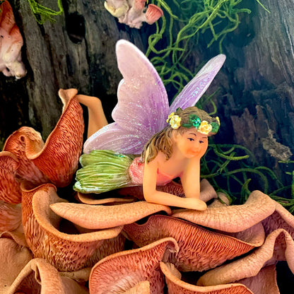 Fairy Jasmine, Australian Fairy Gardens, Fairies