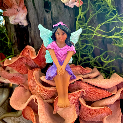 Fairy Mia, Australian Fairy Gardens, Fairies